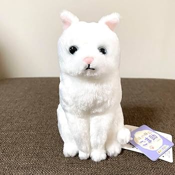 白い猫のぬいぐるみとタオルセット 白い猫のぬいぐるみとタオルセット - メルカリ